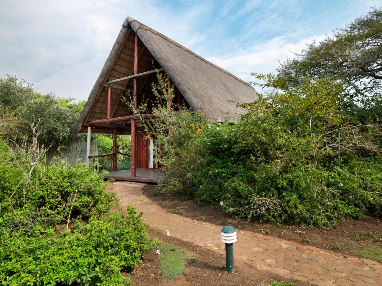 Rhino River Lodge Manyoni Private Game Reserve Luaran gambar