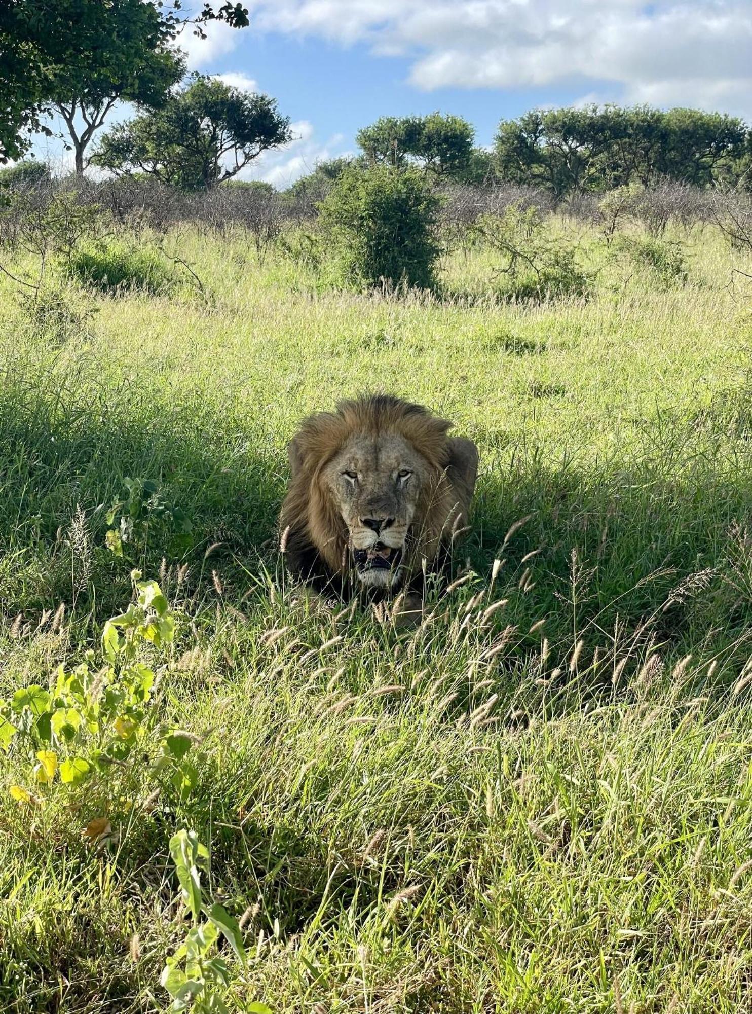 Rhino River Lodge Manyoni Private Game Reserve Luaran gambar